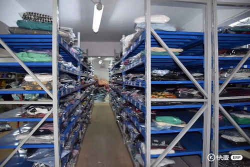 高性價比ERP與倉儲服務(wù) 拼多多商家提升運(yùn)營效率與價值的首選方案